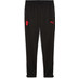 Puma AC Milan Trainingsanzug