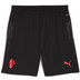 Puma AC Milan Training Set