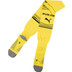 Puma Borussia Dortmund Heim Outfit 2025/2026