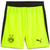 Puma Borussia Dortmund Away Kit 2025/2026