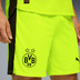 Puma Borussia Dortmund Away Kit 2025/2026