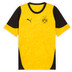 Puma Borussia Dortmund Training Shirt 2025/2026
