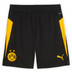 Puma Borussia Dortmund Trainingsset 4