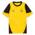 Puma Borussia Dortmund Training Shirt Kids