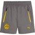 PUMA Borussia Dortmund Tech Woven Shorts 2025/2026 1