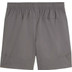 PUMA Borussia Dortmund Tech Woven Shorts 2025/2026 2