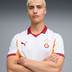 Puma Galatasaray Uit Shirt 2025/2026 4