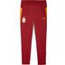 Puma Galatasaray Training Pant 2025/2026 1