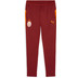 Puma Galatasaray Training Pant Kids 2025/2026 1