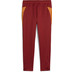 Puma Galatasaray Training Pant Kids 2025/2026 2