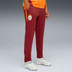 Puma Galatasaray Training Pant Kids 2025/2026 3