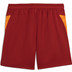 Puma Galatasaray Trainings-Short 2025/2026 2