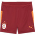 PUMA Galatasaray Träningsshorts Barn 2025/2026 1