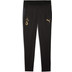 Puma Galatasaray Training Pant 2025/2026 1