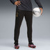 Puma Galatasaray Training Pant 2025/2026 3