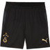 Puma Galatasaray Trainingsset
