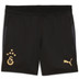 PUMA Galatasaray Träningsshorts Barn 2025/2026 1