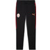 Puma Galatasaray Evostripe Pant 2025/2026