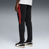 Puma Galatasaray Evostripe Pant 2025/2026