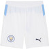 Puma Manchester City Pre-Match Training Set