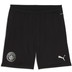 Puma Manchester City Training Shorts 2025/2026