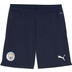 Puma Manchester City Training Shorts 2025/2026