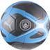 PUMA Manchester City Boll Storlek 5 2024/2025