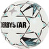 Derbystar Indoor Futsal Hyper TT II