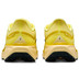 Nike Pegasus 41 GTX Herren