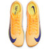 Nike Maxfly 2