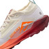 Nike Pegasus Trail 5 GTX Dames