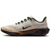 Nike Pegasus 41 Heren
