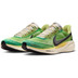Nike Pegasus 41 SE Heren