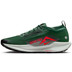 Nike Pegasus Trail 5 GTX Heren
