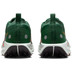 Nike Pegasus Trail 5 GTX Heren