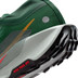 Nike Pegasus Trail 5 GTX Heren