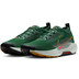 Nike Pegasus Trail 5 GTX Heren