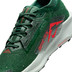 Nike Pegasus Trail 5 GTX Heren