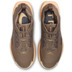 Nike Pegasus Trail 5 GTX Dames