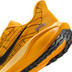 Nike Pegasus 41 Herren