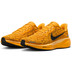 Nike Pegasus 41 Herren