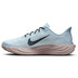 Nike Pegasus Plus Herren