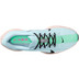Nike Pegasus Plus Herren