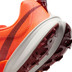 Nike Terra Kiger 10 Heren