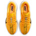 Nike Pegasus Plus Heren