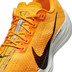 Nike Pegasus Plus Heren