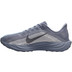 Nike Pegasus Plus Herren