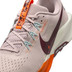 Nike Pegasus Trail 5 Herren