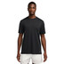 Nike Dri-FIT Pinnacle Run Shirt Heren