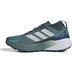 adidas Terrex Agravic GTX Heren